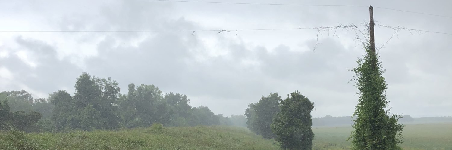 ford_clint's profile banner image