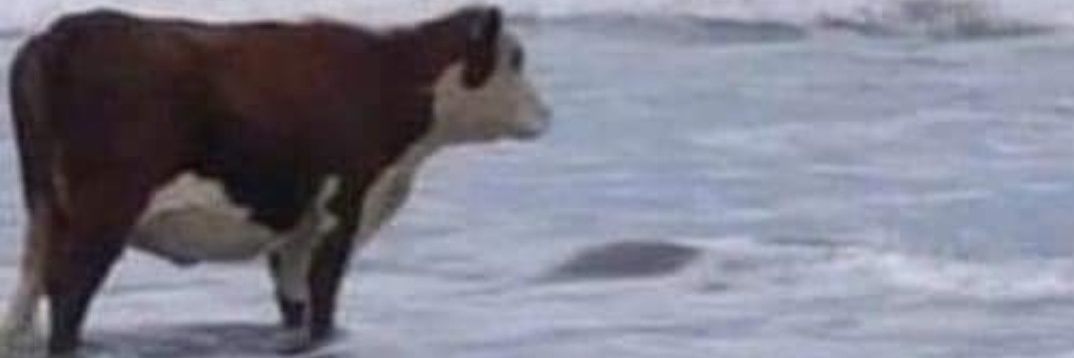 what should I do with the water banner