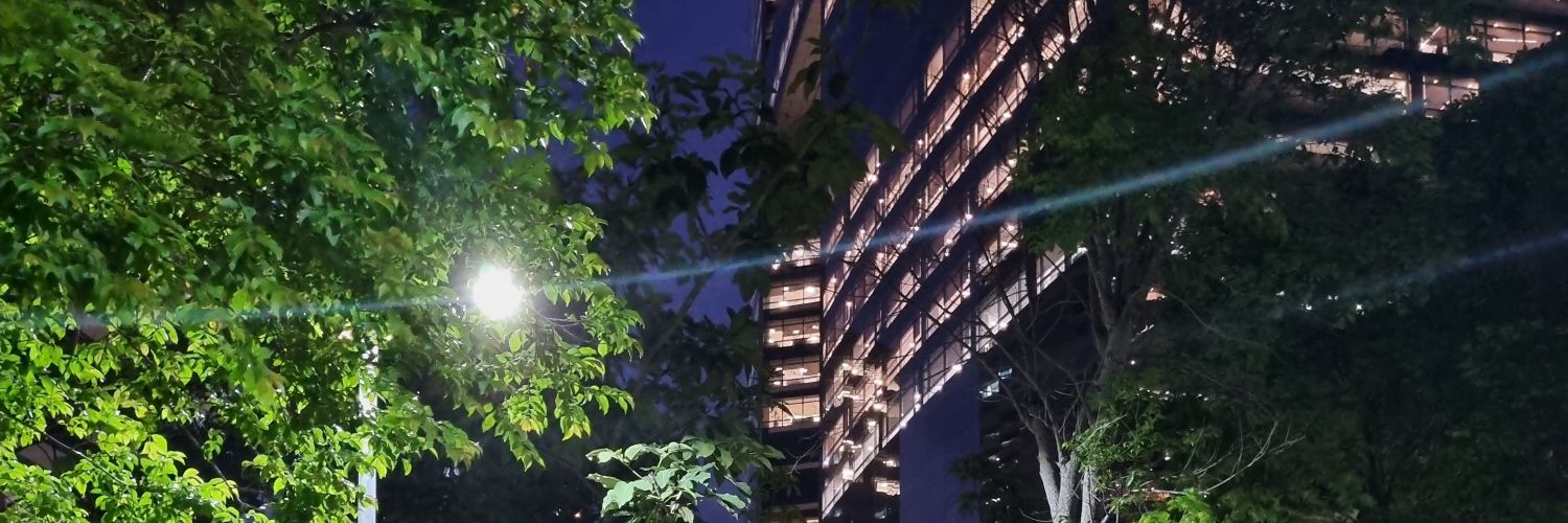 lul_iz's profile banner image