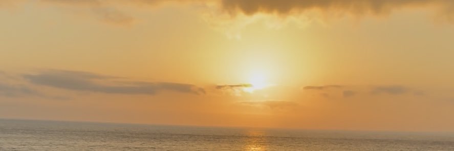 Alberto banner