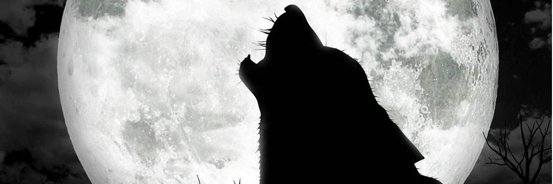 MoraSeth's profile banner image