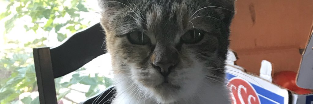 Jessicuta's profile banner image