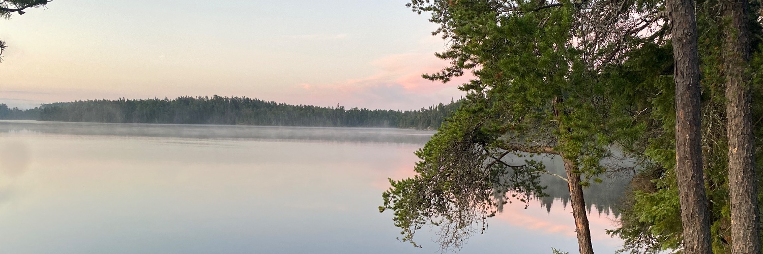 nstudenski's profile banner image