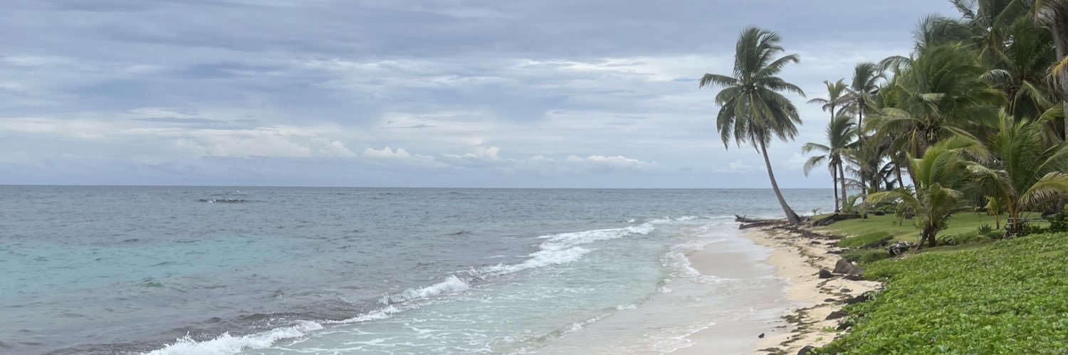 almond_lis's profile banner image