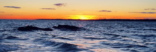 IngridBush Profile Banner