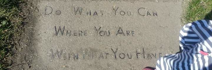 Marci deGroot banner