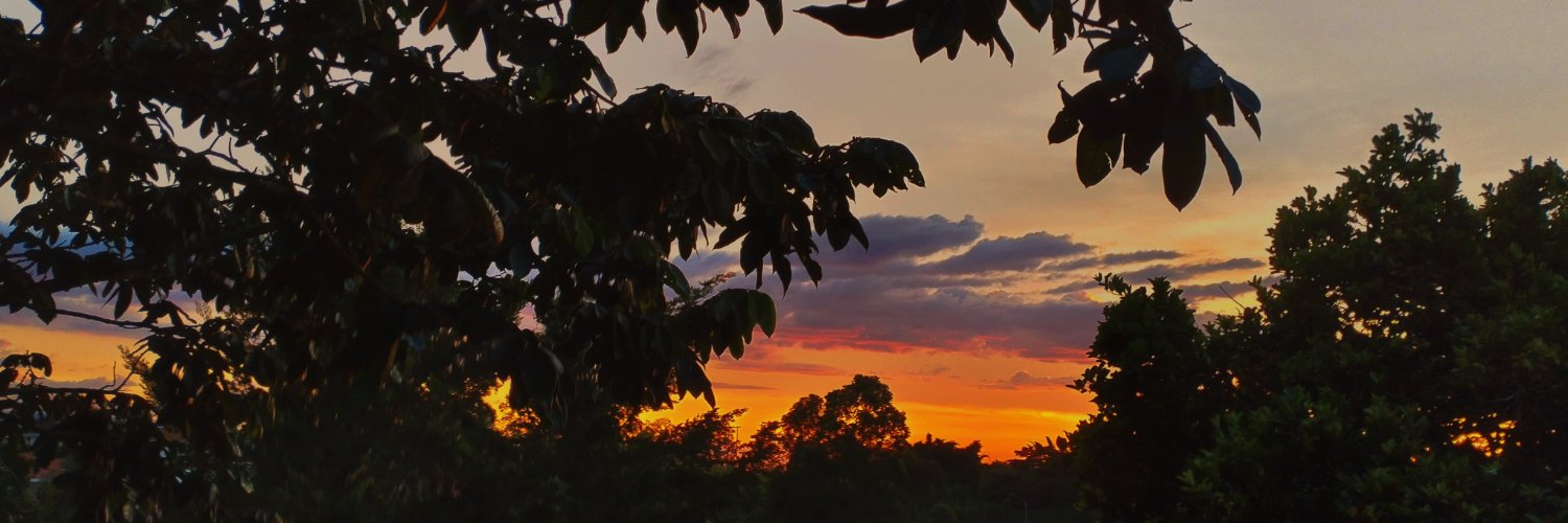 Mprv1007's profile banner image