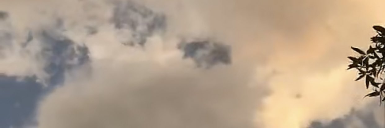 نجمه banner