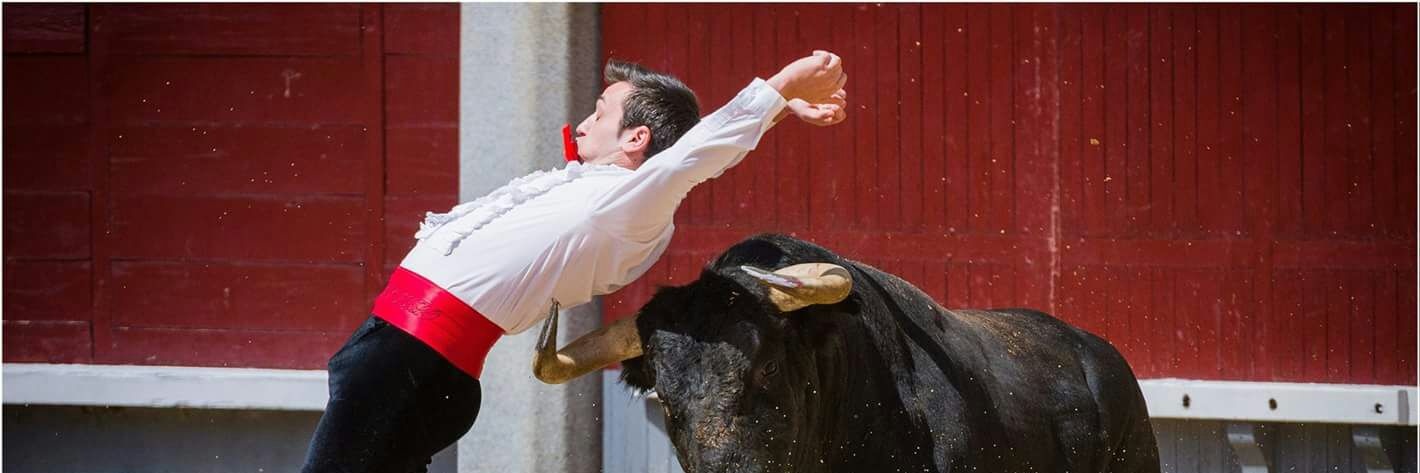 zorrillo cortador banner