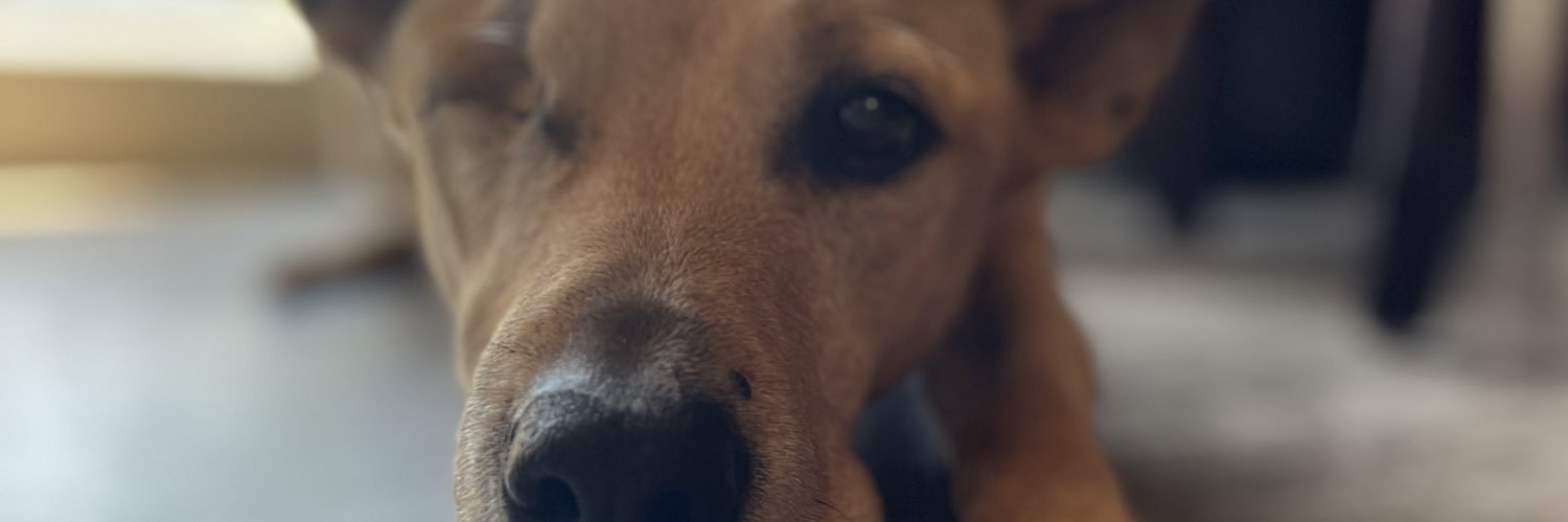 jmadere89's profile banner image
