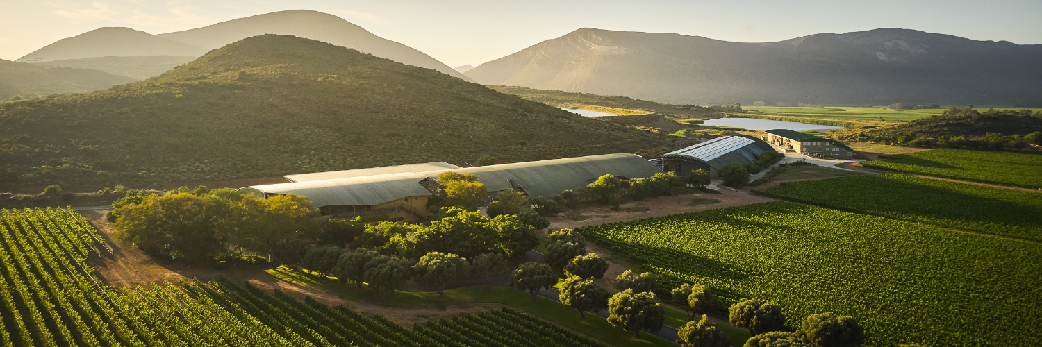 Graham Beck Bubbly banner