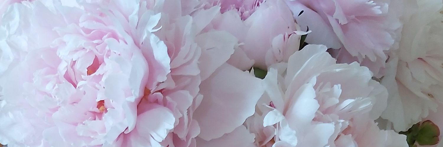 Bernadine #ClimateActionEdu #SDGs #GoalsProject banner