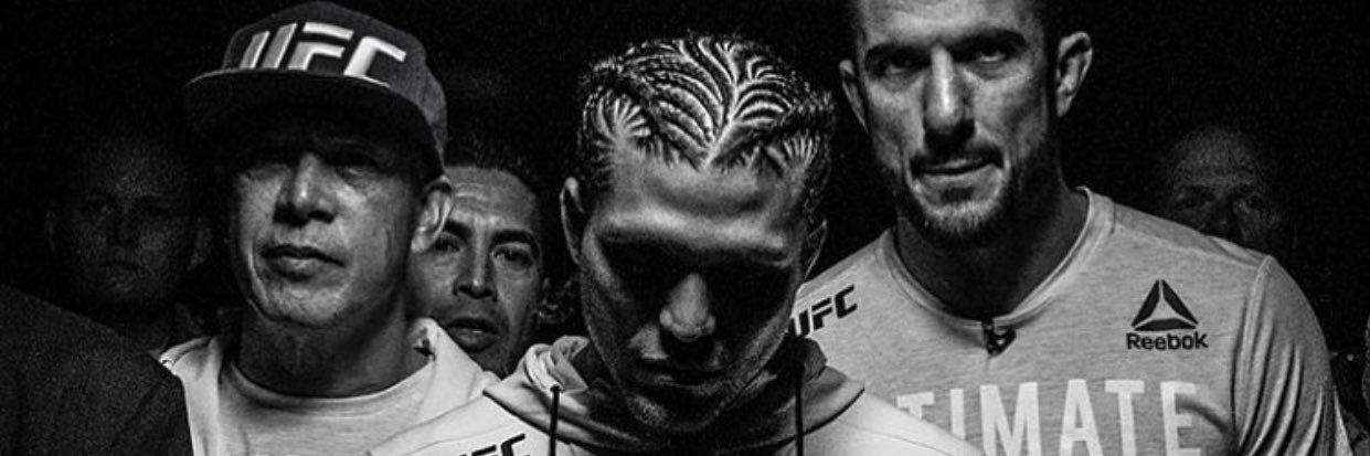 AntkneeBorgesi's profile banner image