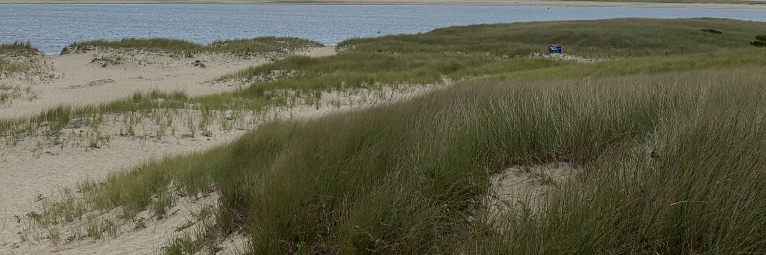 MacFeatherFarm's profile banner image