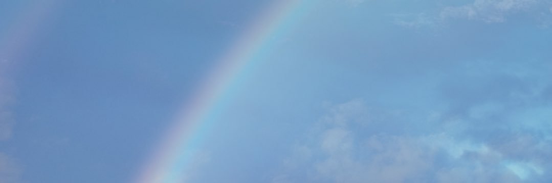 bluedolphin0730's profile banner image