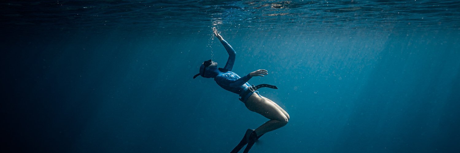 cococousteau's profile banner image