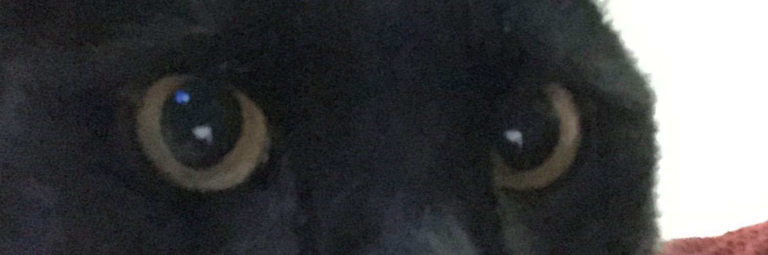 DnBerri's profile banner image