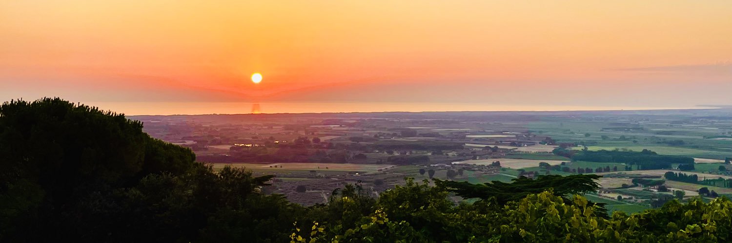 Megan McKinley banner