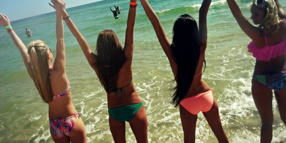 AbbeyLauer's profile banner image