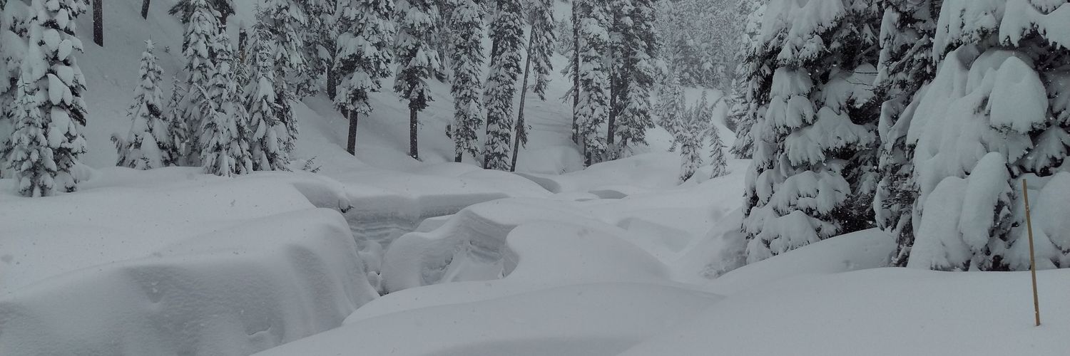 JSertoli's profile banner image