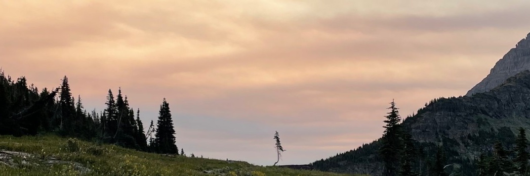 elliothere's profile banner image