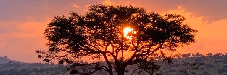 Arunabh Chowdhury banner