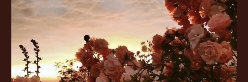 aaaamona_39's profile banner image