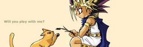Baccichick's profile banner image