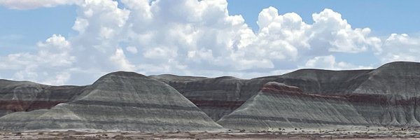 AllisonConwell Profile Banner