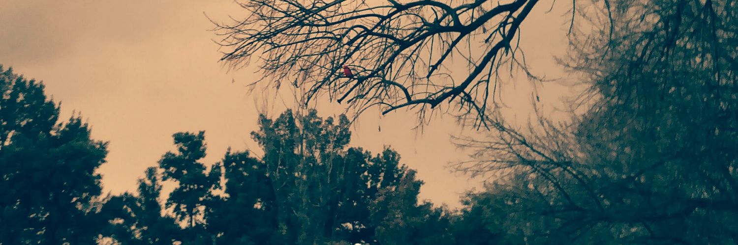 moduspavel's profile banner image