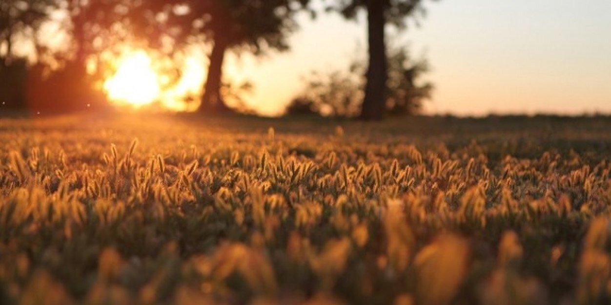 AshleyMCountry's profile banner image