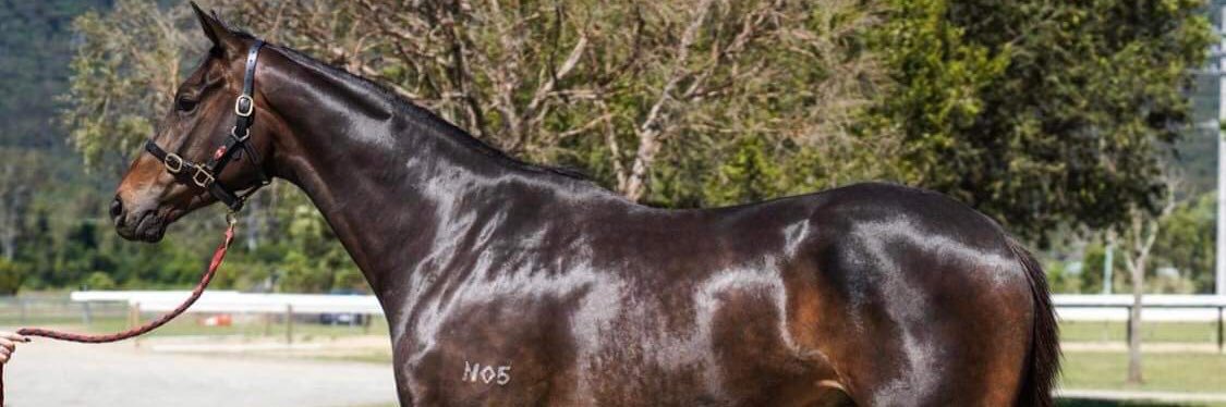 perrysm79's profile banner image
