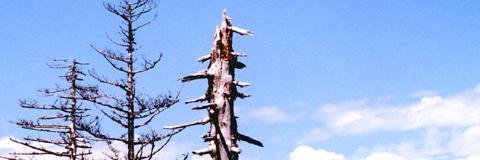 kutande's profile banner image