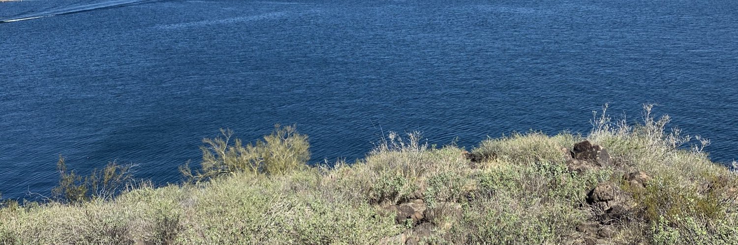 sanzona55's profile banner image