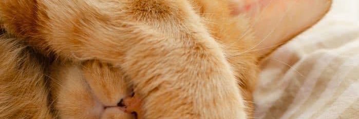 impitchPNC's profile banner image
