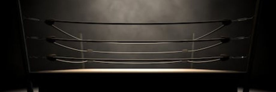 WRESTLERAGE's profile banner image