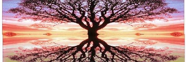 holley_ecochick Profile Banner