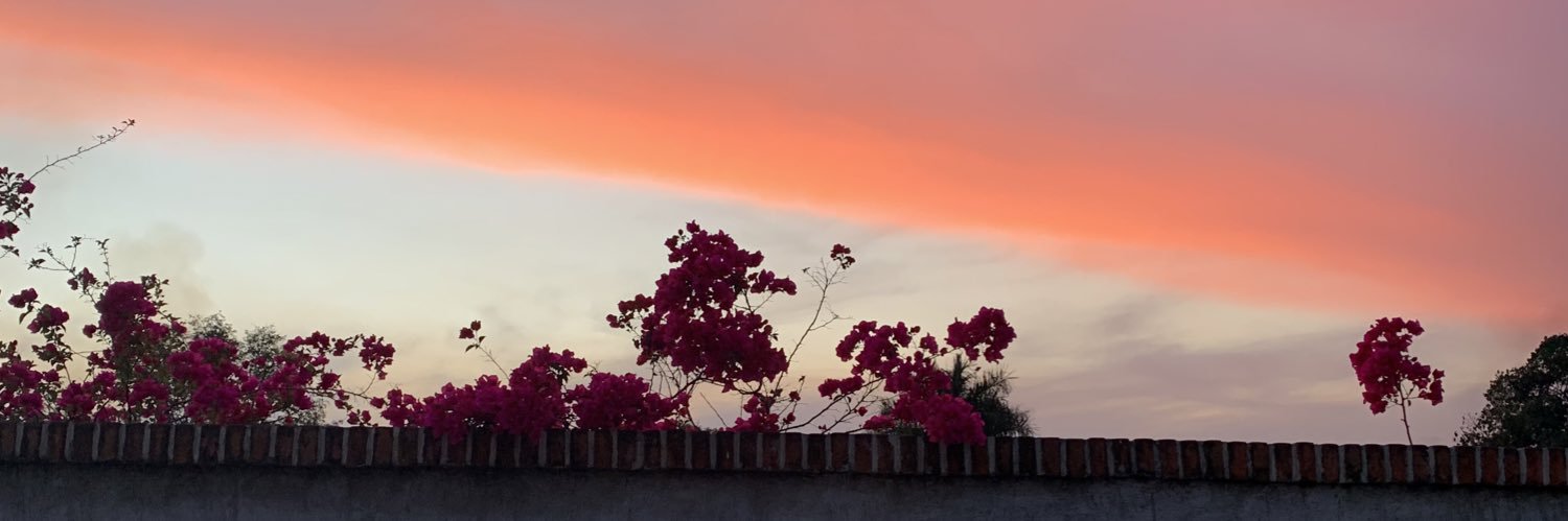 aradaa97's profile banner image