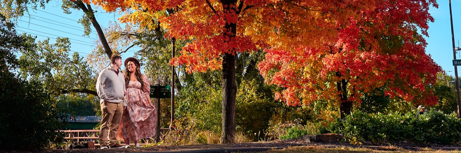 BrunetteBarbbie's profile banner image