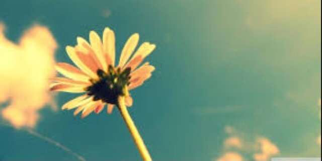 Tay_Brantley's profile banner image
