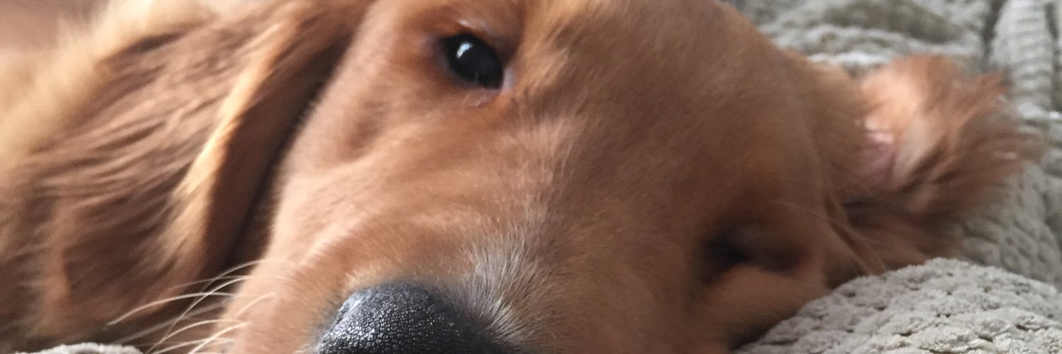 LoNicole_13's profile banner image