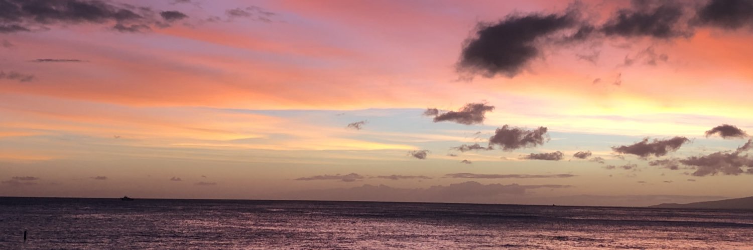 MmeNicoletti's profile banner image
