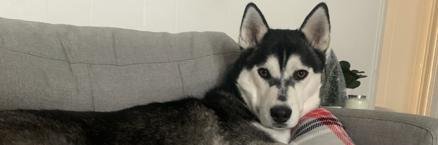 DestinyLukowski's profile banner image