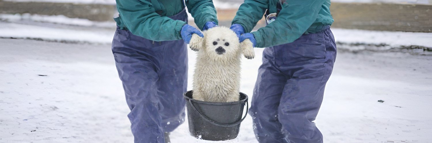 BASE // 罗明正 banner