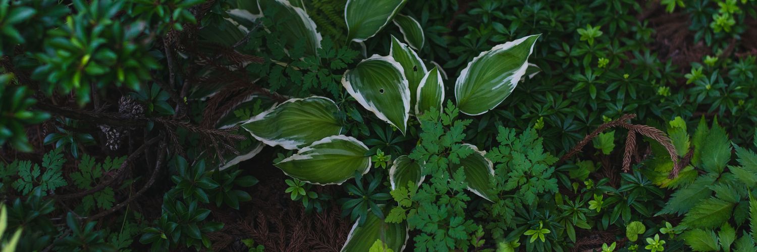 Twitter banner for @Centered