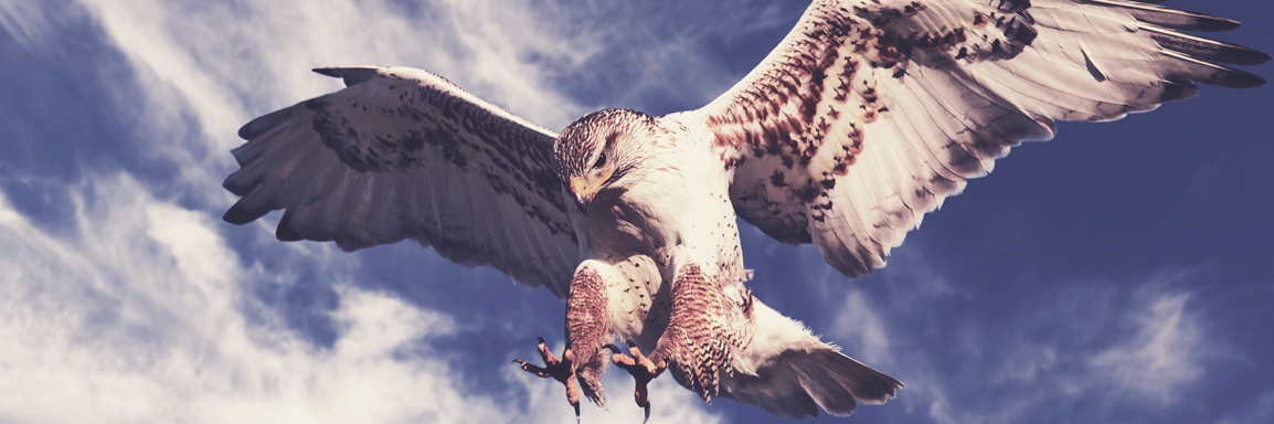 HawkinsGrp's profile banner image