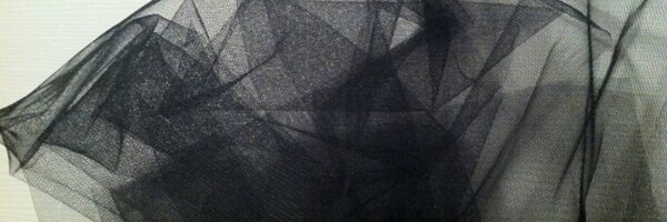 citysandra Profile Banner