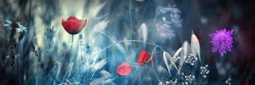 MissLauraHolmes's profile banner image