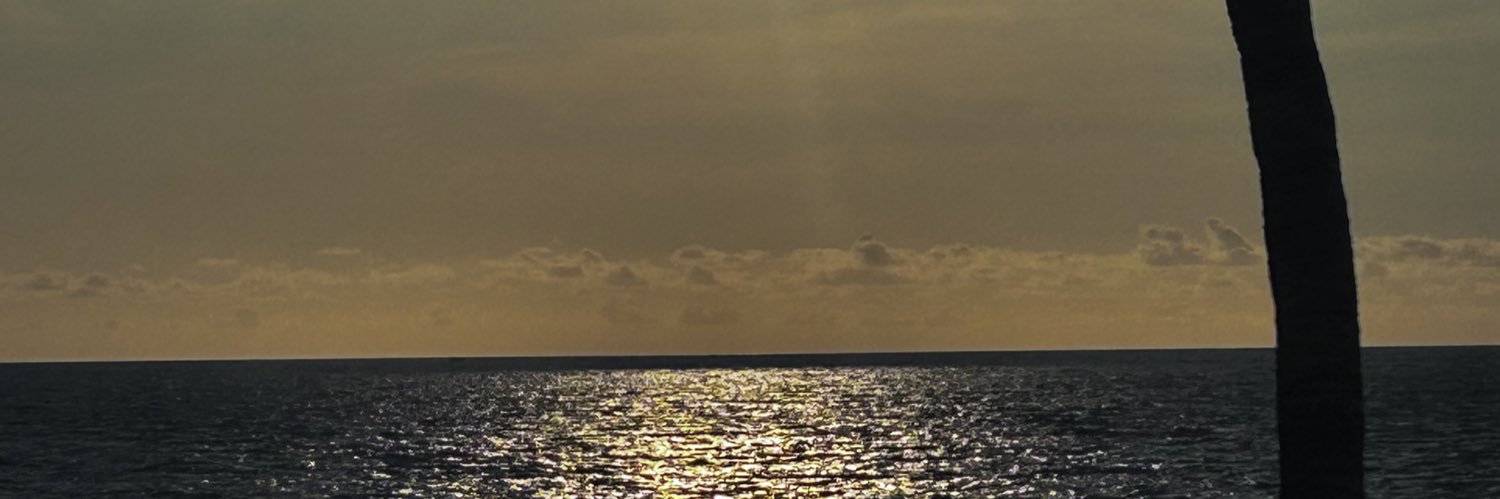 robertomontanoh's profile banner image