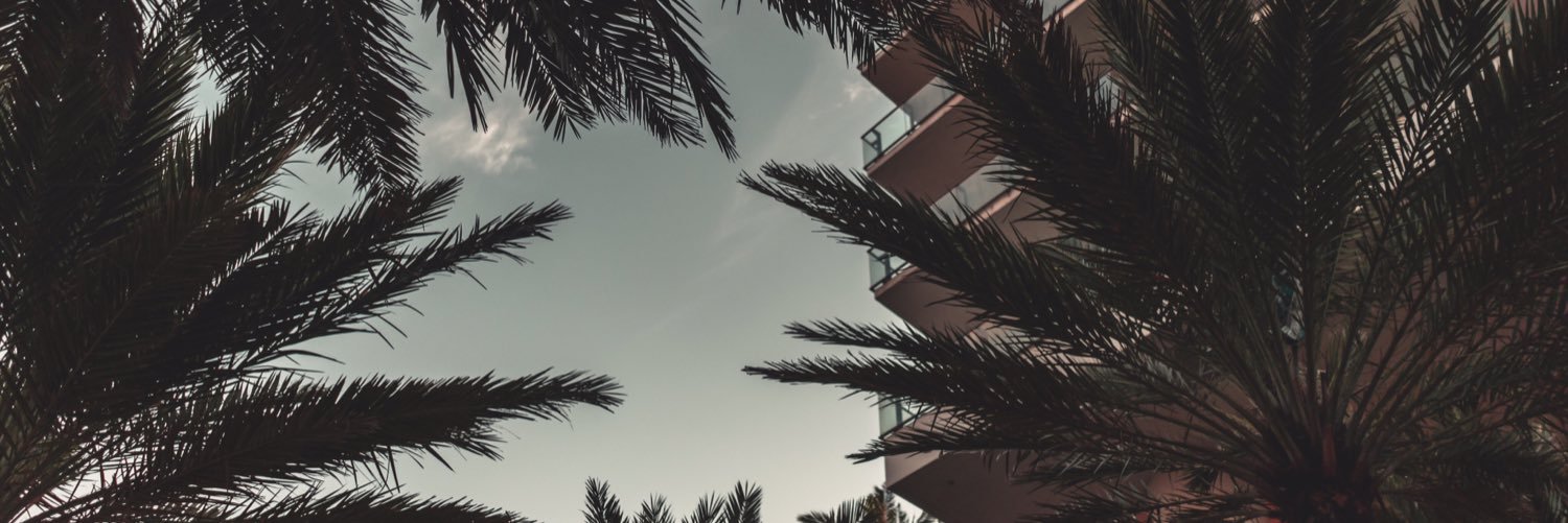 DandthenElvis's profile banner image